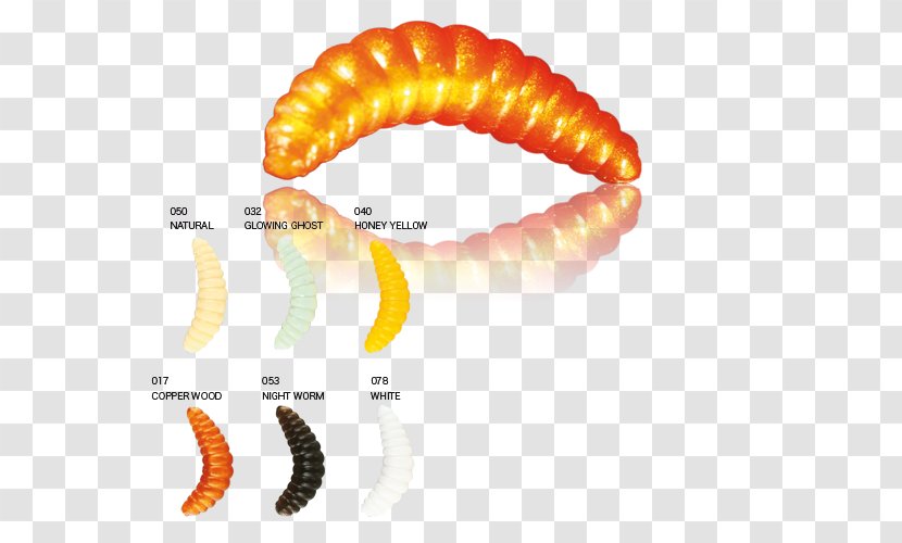 Worm Close-up - Orange Transparent PNG
