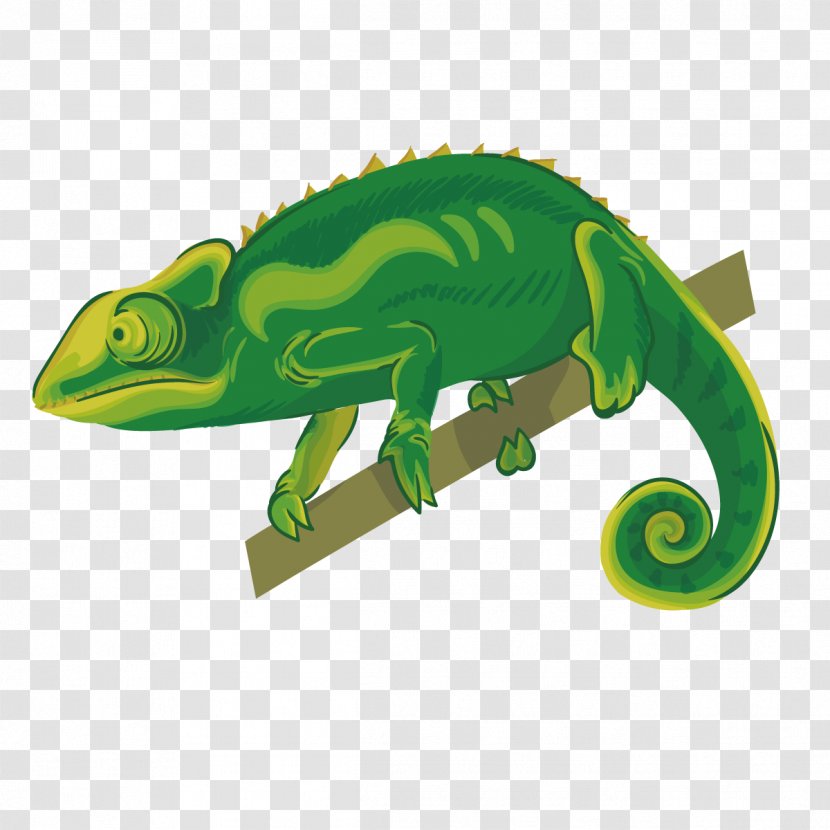 Chameleons Reptile Lizard - Scaled - Vector Chameleon Transparent PNG