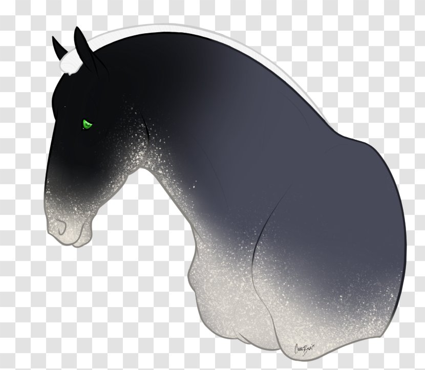 Mustang Pony Freikörperkultur - Horse Transparent PNG