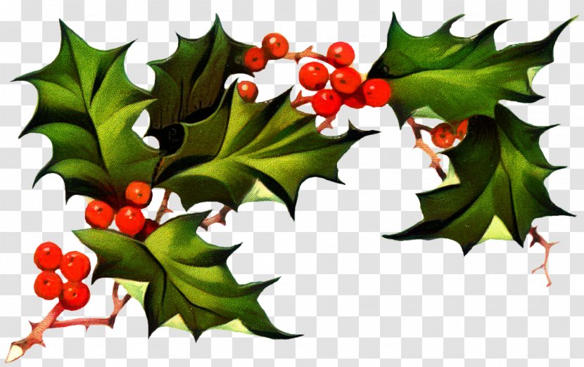 Christmas Day Clip Art Transparency Image - Branch - American Holly Transparent PNG
