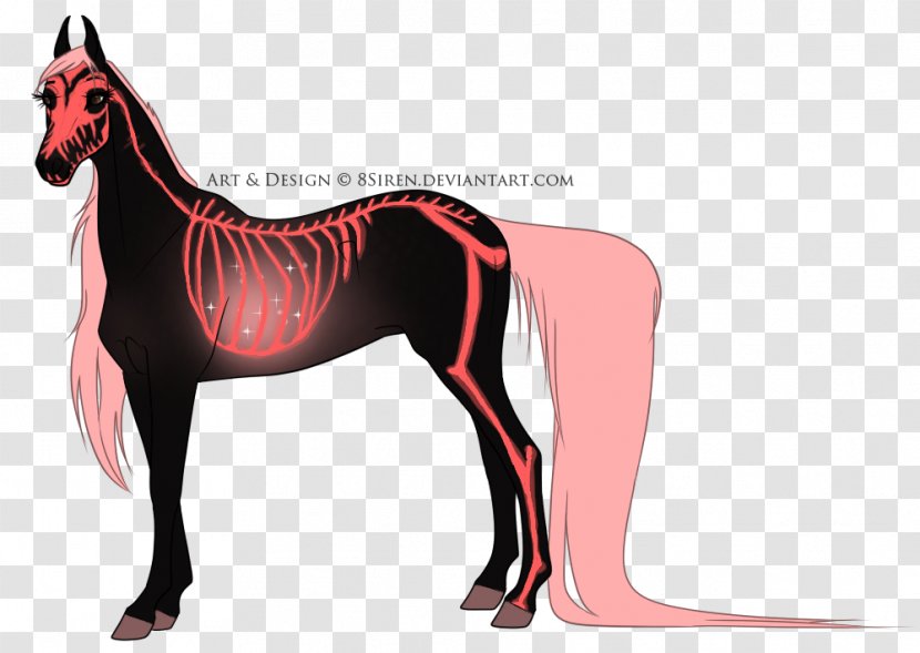 Mustang Pony Stallion Pack Animal Halter - Horse - Tombstone 13 0 1 Transparent PNG