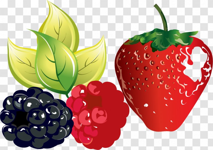 Raspberry Fruit Clip Art - Plant - Strawberry Grape Vector Material Transparent PNG