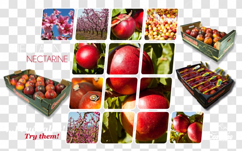 Apple Vegetarian Cuisine Nectarine Food Cosanse - Natural Foods Transparent PNG