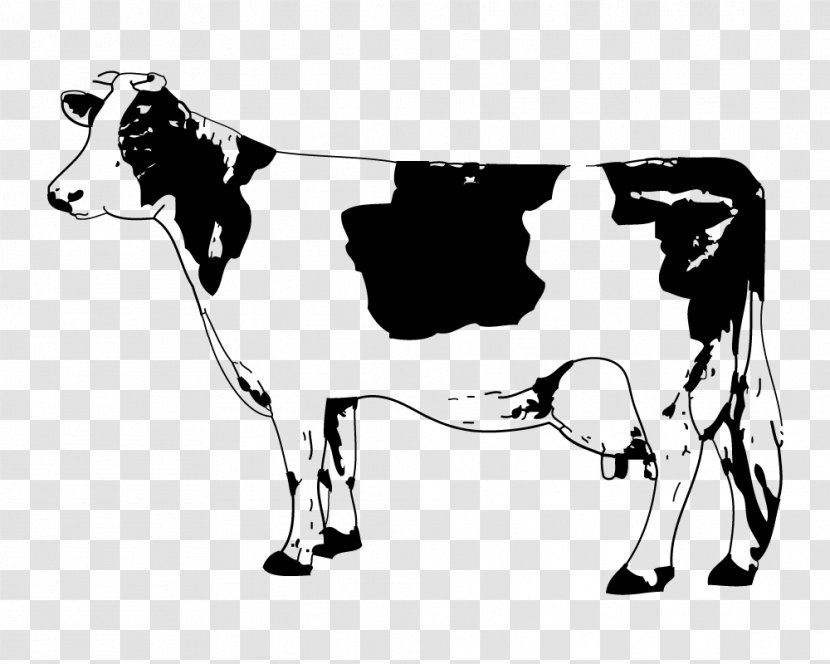 Angus Cattle Calf Clip Art - Mammal - Sketch Cow Transparent PNG