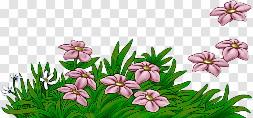 Flower Plant Pink Grass Petal Transparent PNG