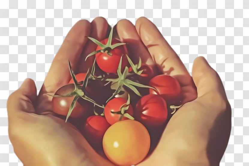 Tomato - Plum - Hand Transparent PNG