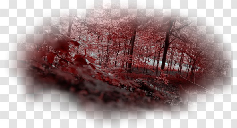 Red Forest Pripyat Chernobyl Disaster Radioactive Contamination - Tree Transparent PNG