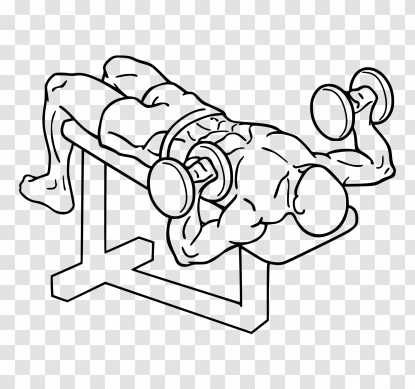 Bench Press Dumbbell Exercise Fly - Cartoon Transparent PNG