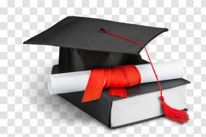 Diploma Graduation Ceremony Square Academic Cap Degree Student - Certificate - Standard First Aid And Personal Safety Transparent PNG