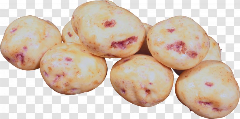 Root Vegetables Potato Painting Transparent PNG