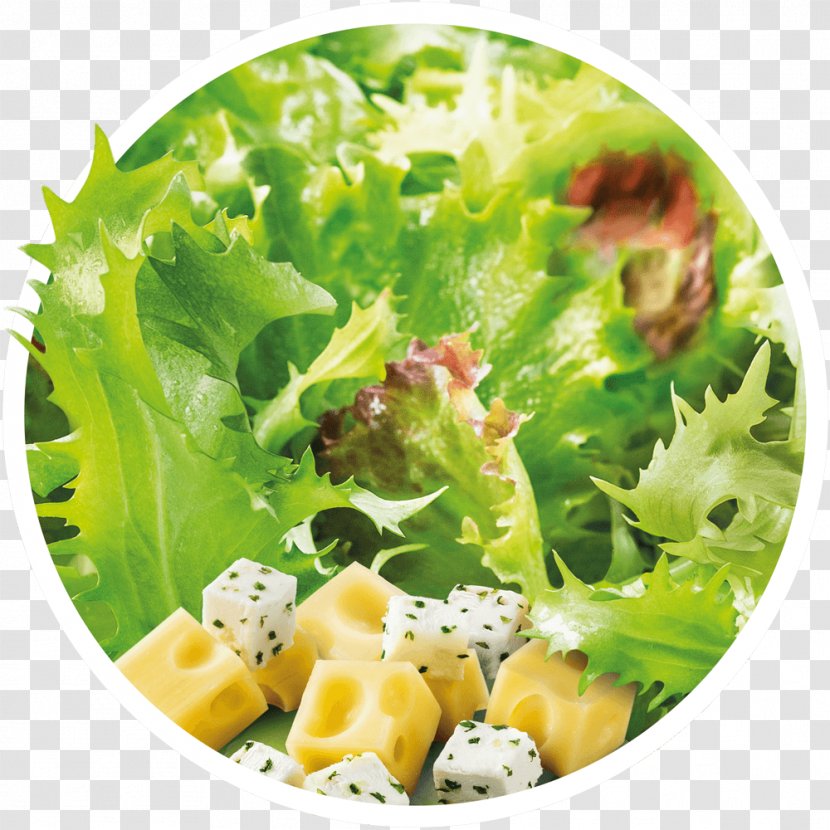 Caesar Salad Lettuce Crudités Sauce Transparent PNG