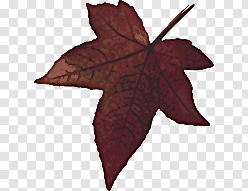 Maple Leaf - Black - Flower Deciduous Transparent PNG