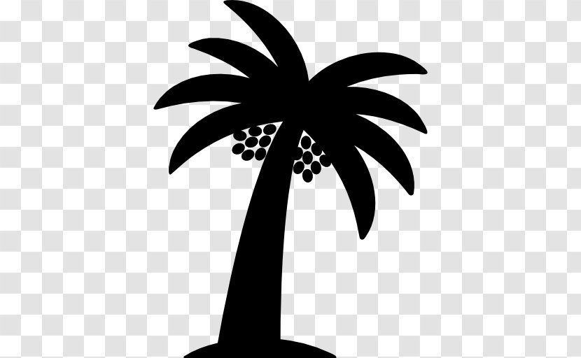 Arecaceae Date Palm Logo - Coconut Transparent PNG