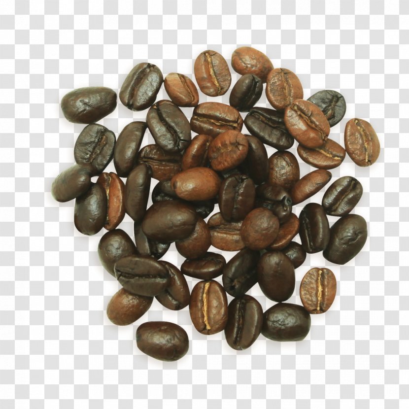 Philz Coffee Hazelnut Decaffeination - Dark Chocolate - Arabic Transparent PNG