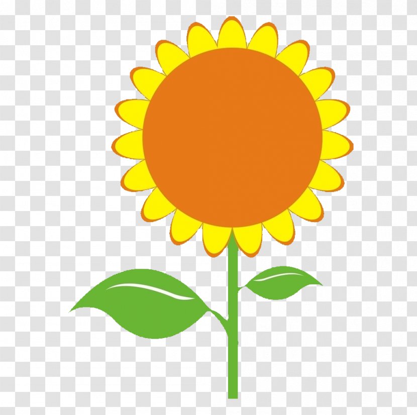 Common Sunflower Seed Illustration - Element Transparent PNG