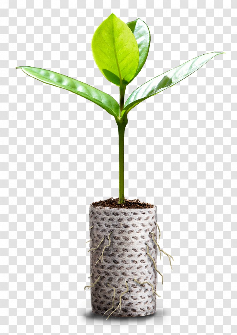 Paper Plastic Bag Container Forestry Production Transparent PNG