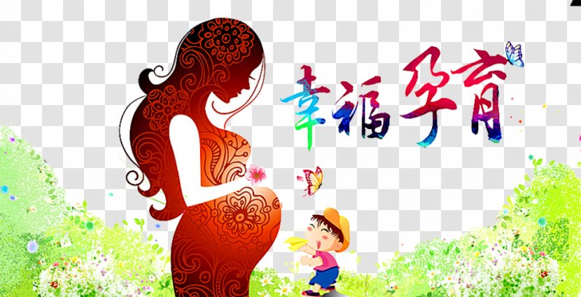 Cartoon Pregnancy Poster Illustration - Frame - Pregnant Women Transparent PNG