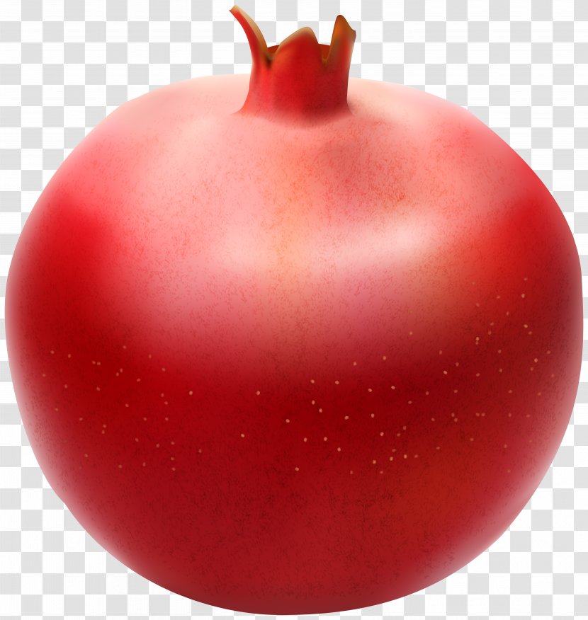 Pomegranate Plum Tomato Fruit Clip Art - Vegetable - Transparent Image Transparent PNG