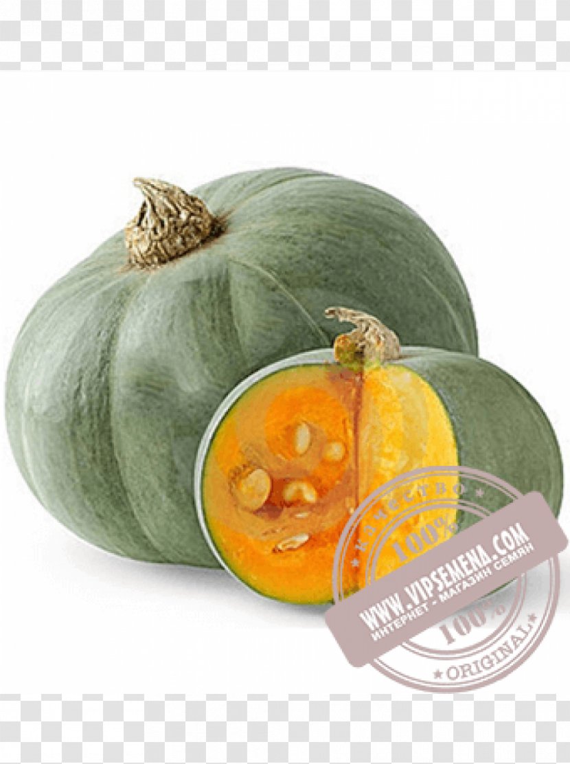 Crookneck Pumpkin Cucurbita Maxima Cultivar Seed Auglis - Form - Tamarind Transparent PNG