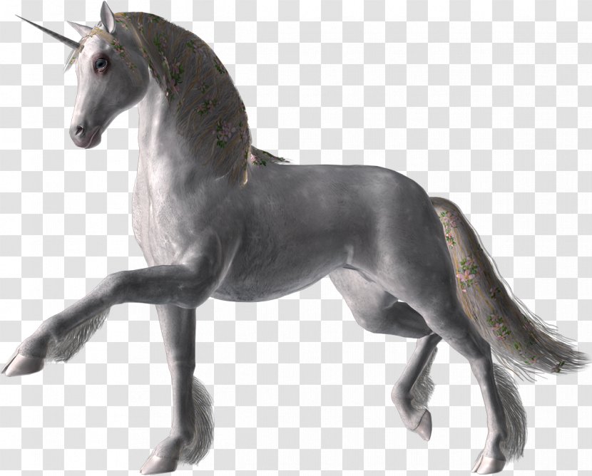 Mustang Stallion LiveInternet 3D Computer Graphics - Pale Horses Transparent PNG