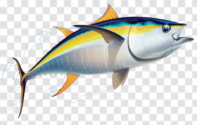 Yellowfin Tuna Fishing Friend Of The Sea - Fin - Fish Transparent PNG