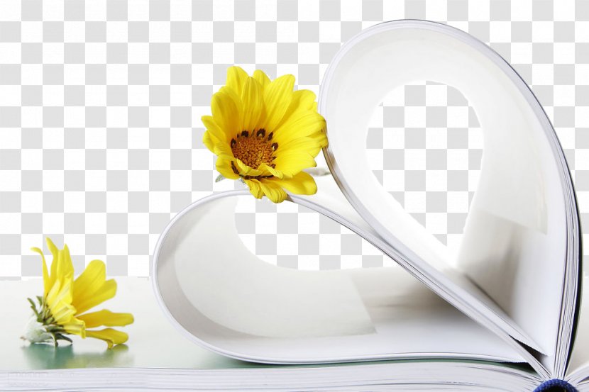 Day Letter Autumn Love - Product Design - Flower Flip Book Transparent PNG