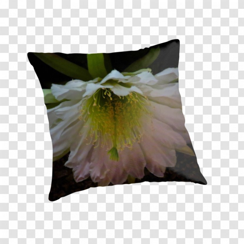 Cushion Throw Pillows - Flower - Cactus Blooming Season Transparent PNG