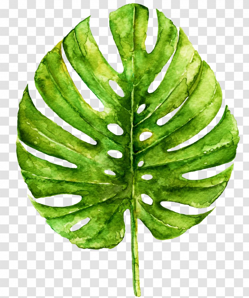 Work Of Art Watercolor Painting Printmaking Printing - Tropics - Leaf Transparent PNG