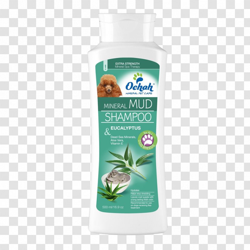 Lotion Shampoo Mineral Flea Liquid - Argan Oil - Aloe Vera Water Transparent PNG