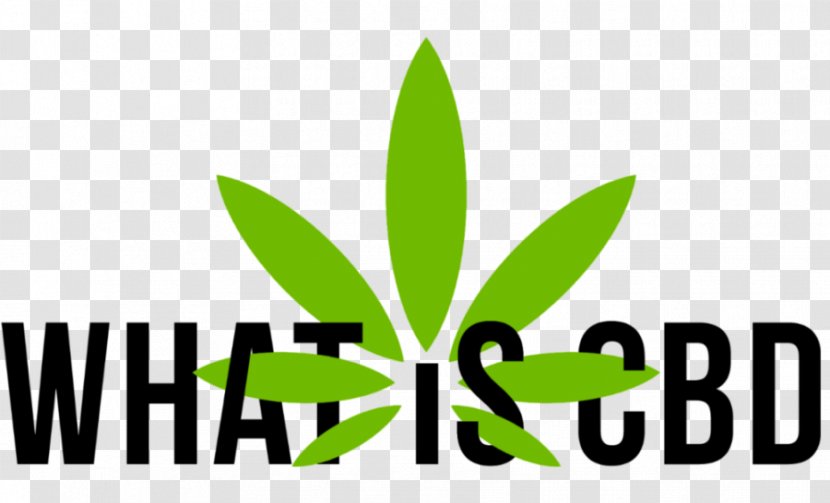 Logo Brand Font Leaf Product - Plant - Cannabis Use Disorder Transparent PNG