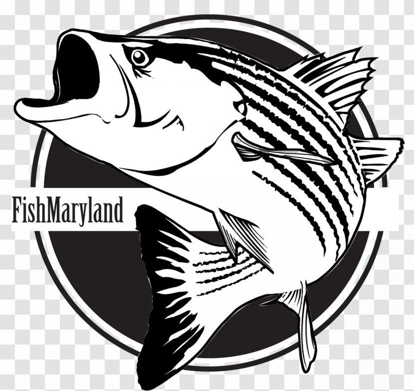 Fishing Cartoon - Northern Largemouth Bass - Bonyfish Sticker Transparent PNG