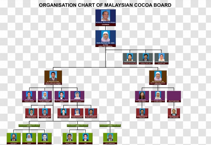 Brand Product Design Organization Pattern Font - Text - Board Of Directors Chart Transparent PNG