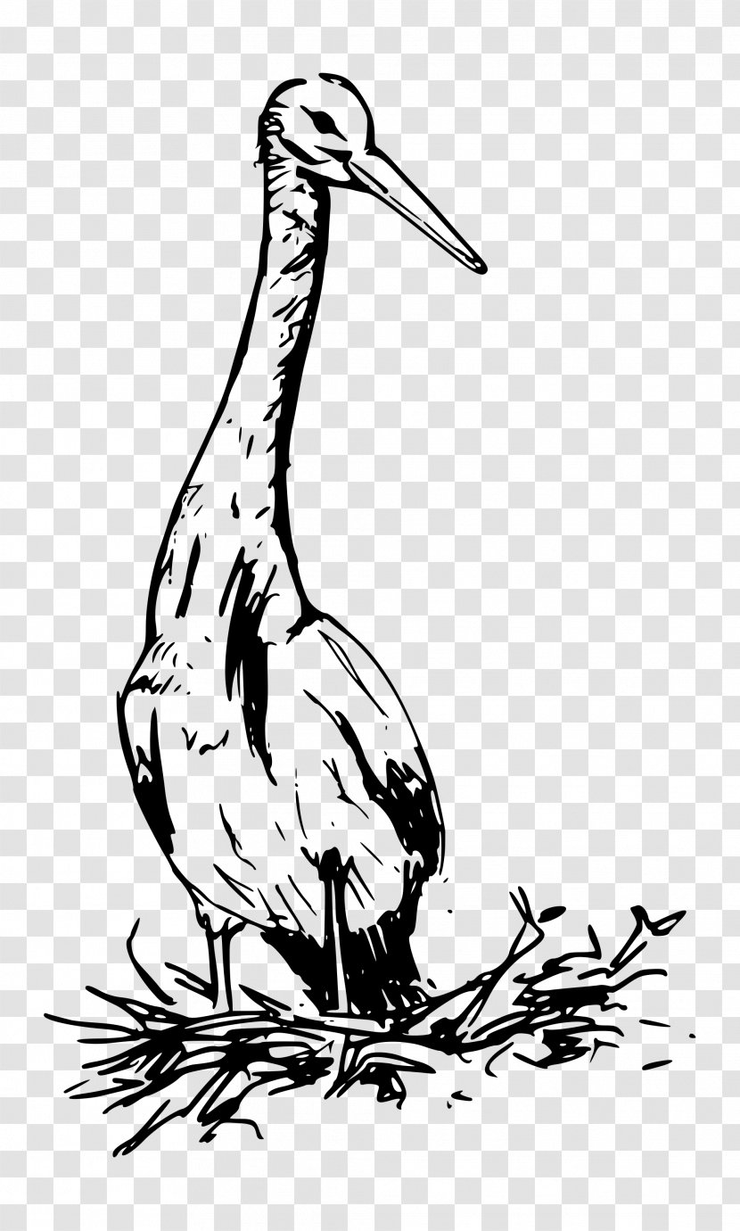 Bird White Stork Clip Art - Black And Transparent PNG