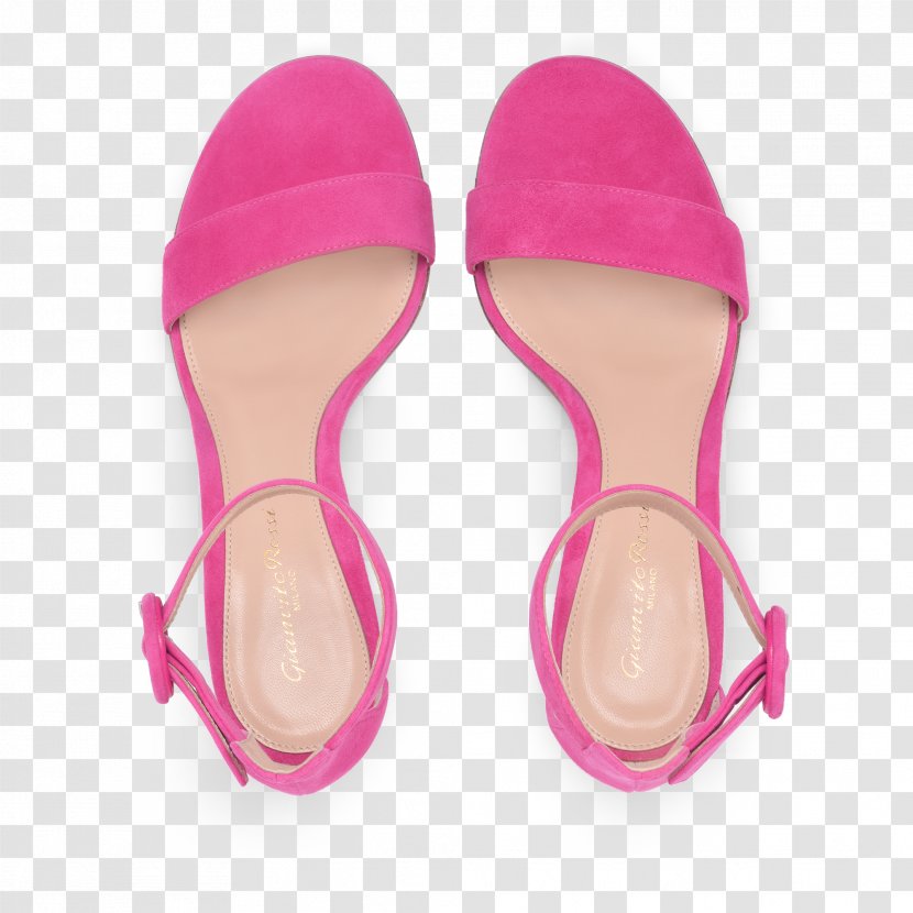 Flip-flops Slipper Pink M Shoe RTV - Footwear - Ric Transparent PNG