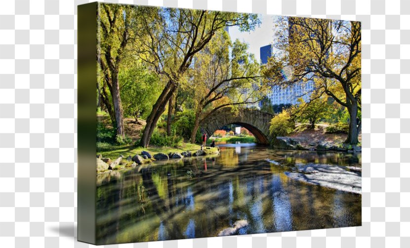 Bow Bridge Gapstow State Park - Landscape Transparent PNG