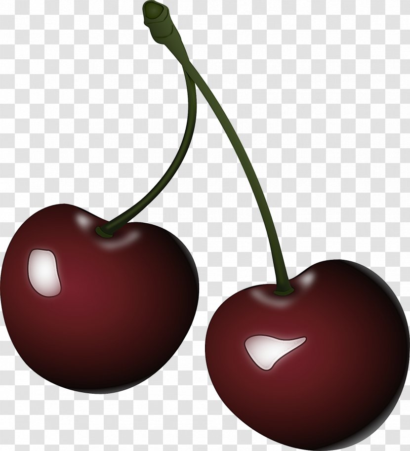 Cherry Fruit Plant Food Tree - Heart Drupe Transparent PNG