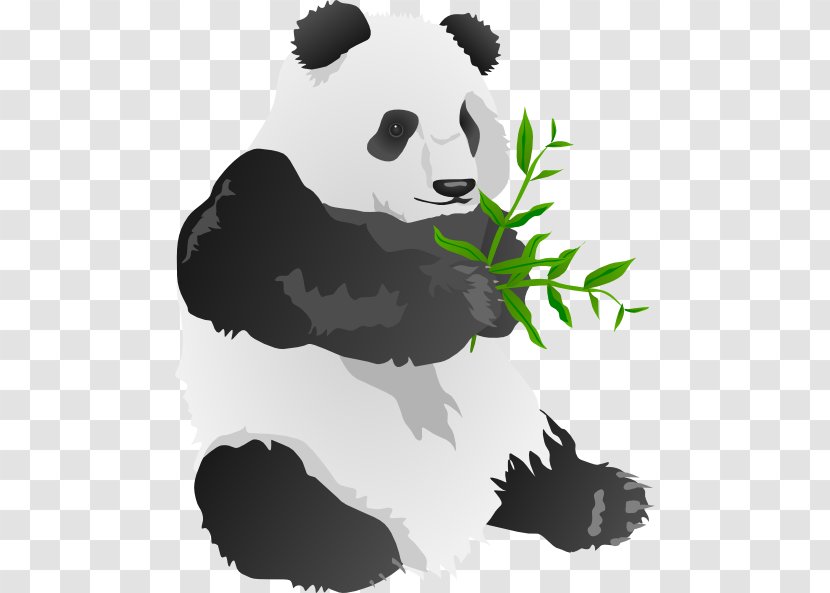 Giant Panda Bear Clip Art - Gambar Kartun Transparent PNG