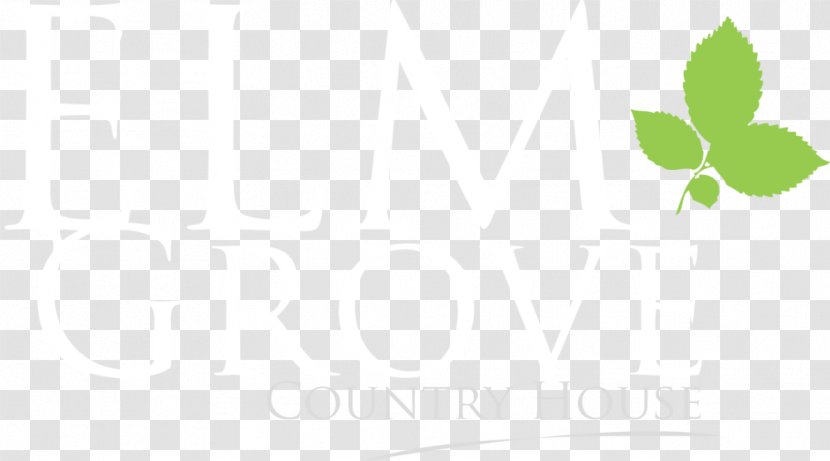 Logo Brand Desktop Wallpaper - Tree-lined Transparent PNG