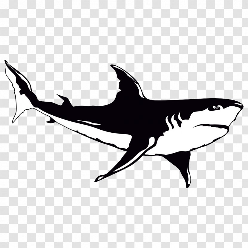 Shark Cartoon Illustration - Fish Transparent PNG