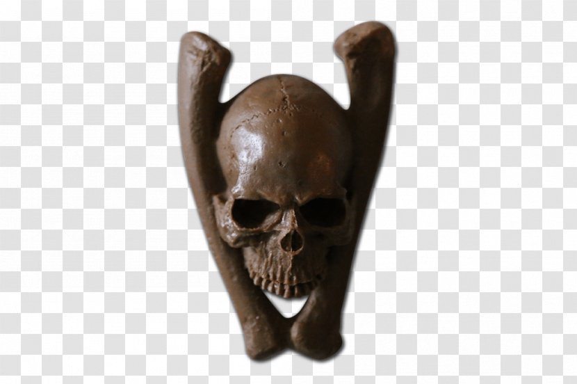 Skull - Bone - Snout Transparent PNG