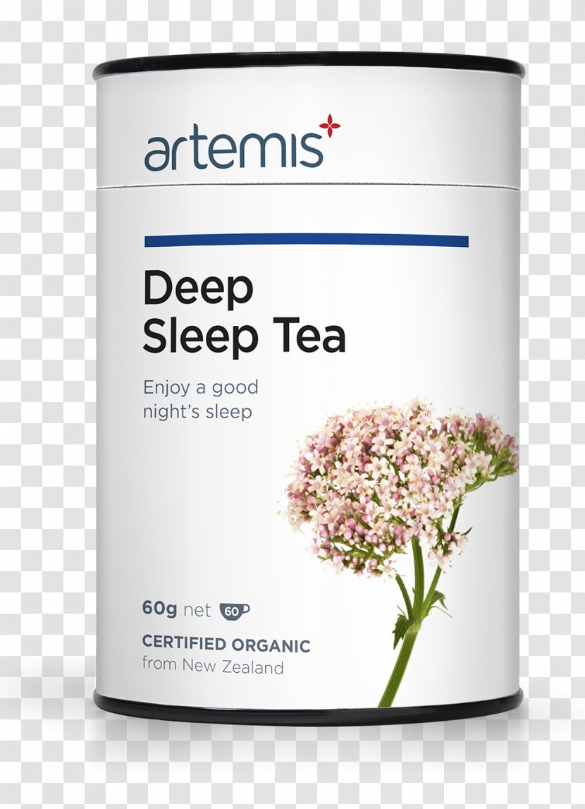 Herbal Tea Health Sleep Detoxification Transparent PNG