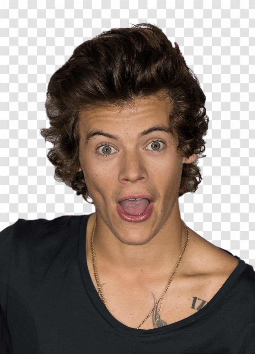 Harry Styles One Direction: This Is Us Hairstyle - Silhouette - Direction Transparent PNG