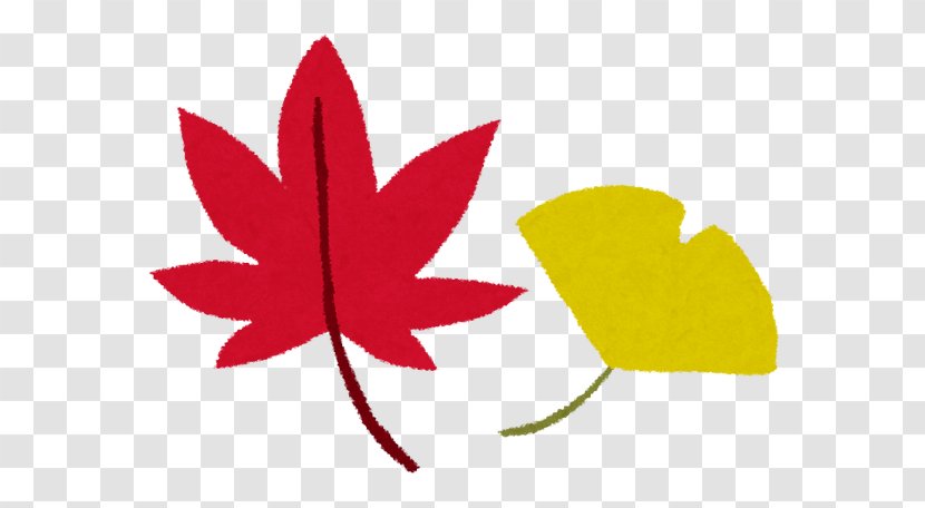 ニホンゲンダイシイカブンガクカン Cannabis Drug Bday Song Medicine - Maple Leaf - Biological Advertisement Transparent PNG