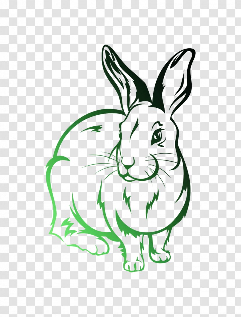 Rabbit Drawing Image Illustration - Whiskers Transparent PNG