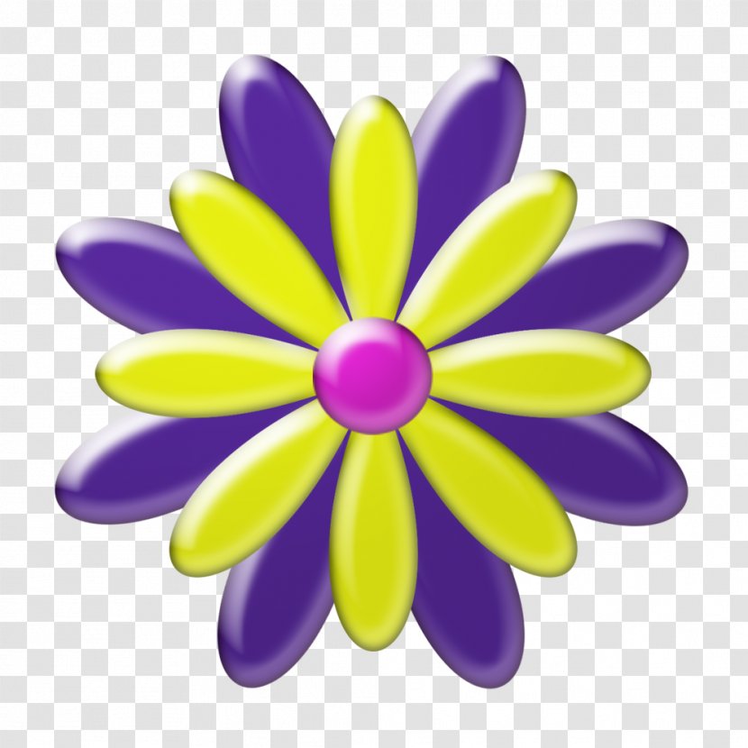 Flower - Magenta - Petal Transparent PNG