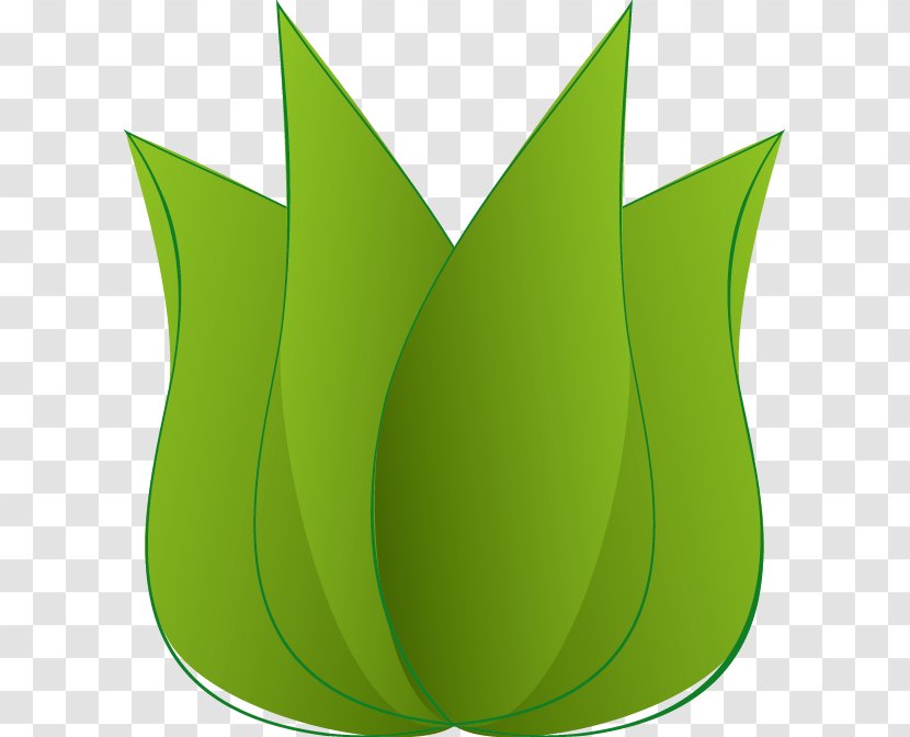 Logo - Plant - Green Leaves Transparent PNG