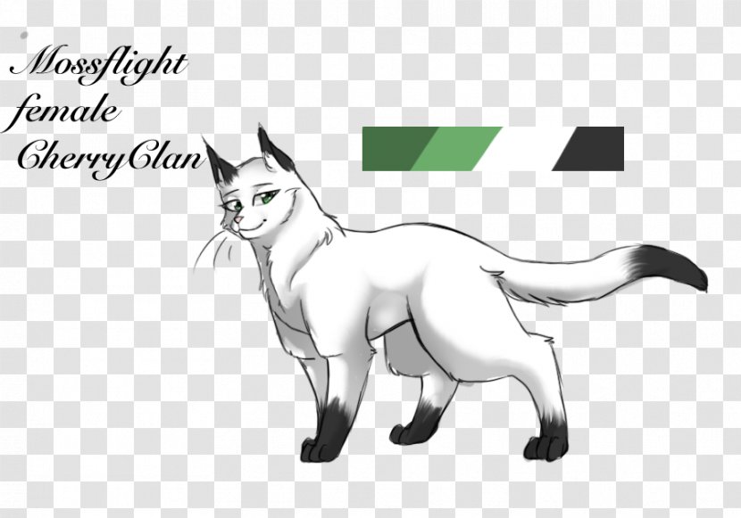 Whiskers Cat /m/02csf Line Art Drawing - Vertebrate Transparent PNG