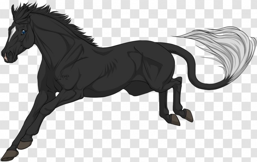 Mustang Stallion Mane Foal Pony - Mammal - Speckled Transparent PNG