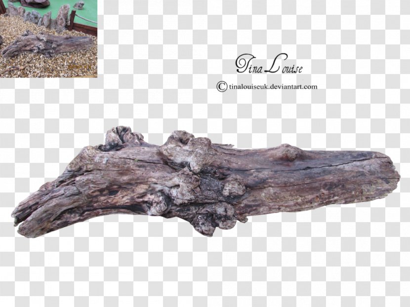 Driftwood Tree Stump Lumberjack Transparent PNG