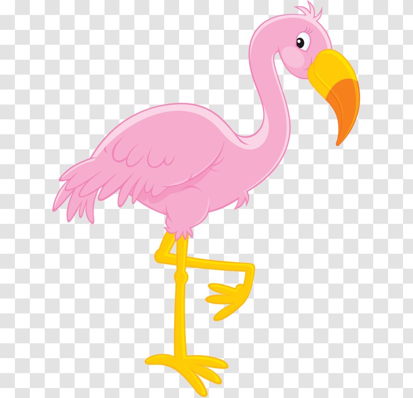 Flamingo Royalty-free Clip Art - Drawing - Pink Crowned Crane Transparent PNG